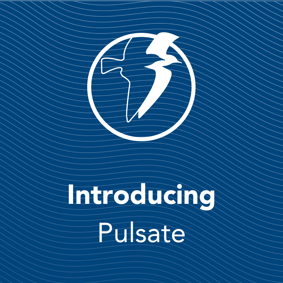 Introducing Pulsate